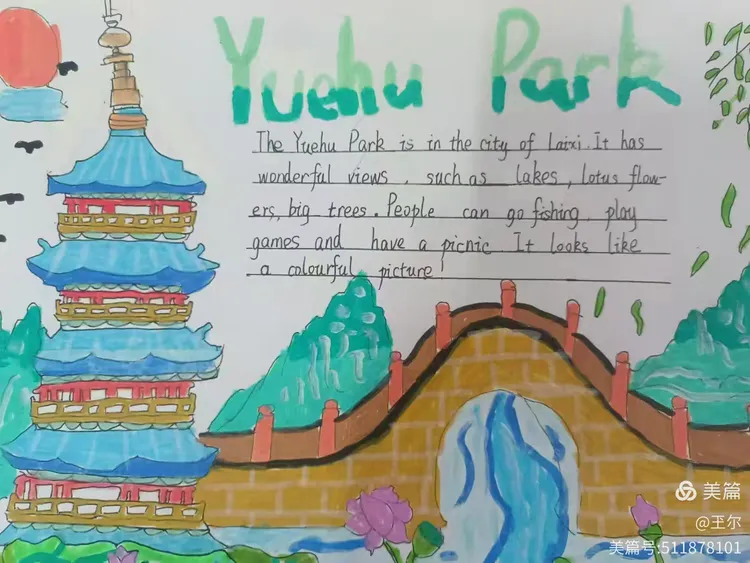 这次英文手抄报活动,不仅锻炼了同学们的英文书写,绘画以及资料收集